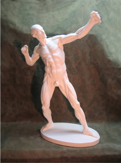 Гипсовая фигура анатомическая "Лучник", 72 см
