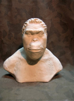 Бюст гипсовый "Австралопитек"