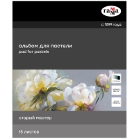 Альбом для пастели Старый Мастер холодные тона 25х30 см / 15 листов / 160 гм