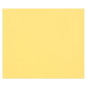 Цветная бумага универсальная Tulipe ClaireFontaine желтая  50х65 см / 25 листов / 160 гм купить в художественном магазине Альберт Мольберт