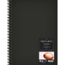 Скетчбук Fabriano Drawingbook черный А4 / 60 листов / 160 гм (портрет) купить в художественном магазине Альберт Мольберт с доставкой по всему миру