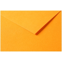 Цветная бумага универсальная Tulipe ClaireFontaine оранжевая 50х65 см / 25 листов / 160 гм
