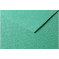 Цветная бумага универсальная Tulipe ClaireFontaine темно-зеленая 50х65 см / 25 листов / 160 гм