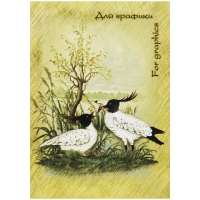 Блокнот для графики 20л. А5 Лилия Холдинг "Журавль", на гребне, 180г/м2