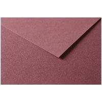 Цветная бумага универсальная Tulipe ClaireFontaine темно-коричневая 50х65 см / 25 листов / 160 гм