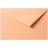 Цветная бумага универсальная Tulipe ClaireFontaine лосось 50х65 см / 25 листов / 160 гм