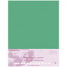 Бархатная бумага для пастели Pastelmat ClaireFontaine темно-зеленая склейка 50х70 см / 5 листов / 360 гм купить в художественном магазине Альберт Мольберт с доставкой
