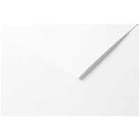 Цветная бумага универсальная Tulipe ClaireFontaine белая 50х65 см / 25 листов / 160 гм