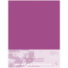 Бархатная бумага для пастели Pastelmat ClaireFontaine винная склейка 50х70 см / 5 листов / 360 гм купить в художественном магазине Альберт Мольберт с доставкой