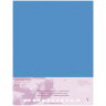 Бархатная бумага для пастели Pastelmat ClaireFontaine темно-синяя склейка 50х70 см / 5 листов / 360 гм купить в художественном магазине Альберт Мольберт с доставкой