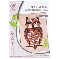 Аппликация Фабрика фантазий "Роспись по дереву - Маркетри. Сова", 21*29 см, европодвес