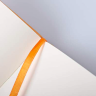 Блокнот Rhodia Webnotebook в точку твердая обложка оранжевый А6 / 96 листов / 90 гм купить в магазине Альберт Мольберт