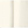Блокнот Rhodia Webnotebook в точку твердая обложка оранжевый вертикальный А5 / 96 листов / 90 гм купить в художественном магазине Альберт Мольберт