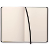 Блокнот Rhodia Webnotebook в точку твердая обложка черный А4 / 96 листов / 90 гм купить в художественном магазине Альберт Мольберт