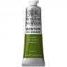 Краска масляная художественная Winsor Newton "Winton" зеленая крушина туба 37 мл