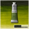 Краска масляная художественная Winsor Newton "Winton" зеленая крушина туба 37 мл