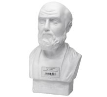 Бюст Гиппократа гипсовый малый студийный