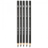 Набор чернографитных акварельных карандашей Faber-Castell Graphite Aquarelle 5 штук в пенале купить в магазине Альберт Мольберт с доставкой
