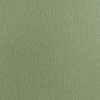 Бумага для пастели Малевичъ GrafArt, зеленый эвкалипт, 270 г/м, А3, 50л,