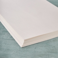 Бумага для акварели Малевичъ Aquarius, 300 г/м, Fin, А3, 50л,