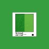 Акриловая краска художественная Малевичъ зеленый светлый туба 60 мл купить в художественном магазине Альберт Мольберт с доставкой по всему миру