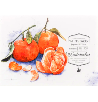 Бумага для акварели White Swan Малевичъ torchon склейка А4 / 20 листов / 250 гм