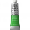 Краска масляная художественная Winsor Newton "Winton" светло-зеленый перманентный туба 37 мл