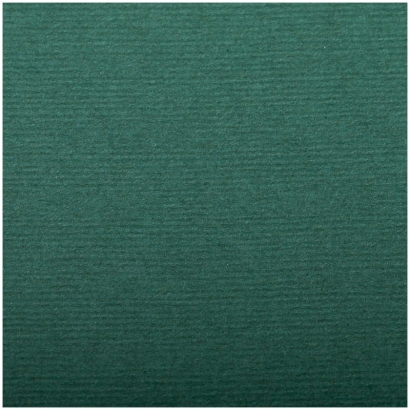 Бумага для пастели Ingres Clairefontaine темно-зеленая пачка А2 / 25 листов / 130 гм