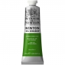 Краска масляная художественная Winsor Newton "Winton" зеленый хром туба 37 мл