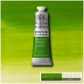 Краска масляная художественная Winsor Newton "Winton" зеленый хром туба 37 мл